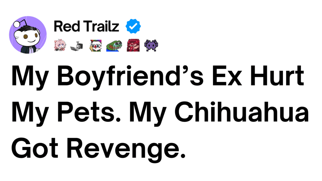 Reddit Stories
